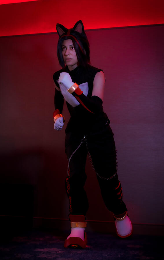 Shadow the Hedgehog (Sonic the Hedgehog, 2025)